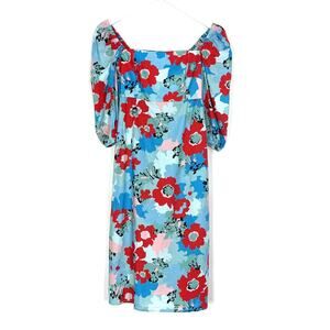 Tuckernuck Blue and Red Floral Long Sleeve Dress
